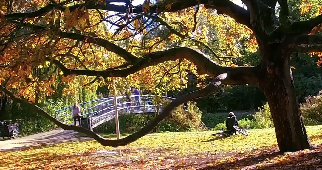 Amsterdam automne