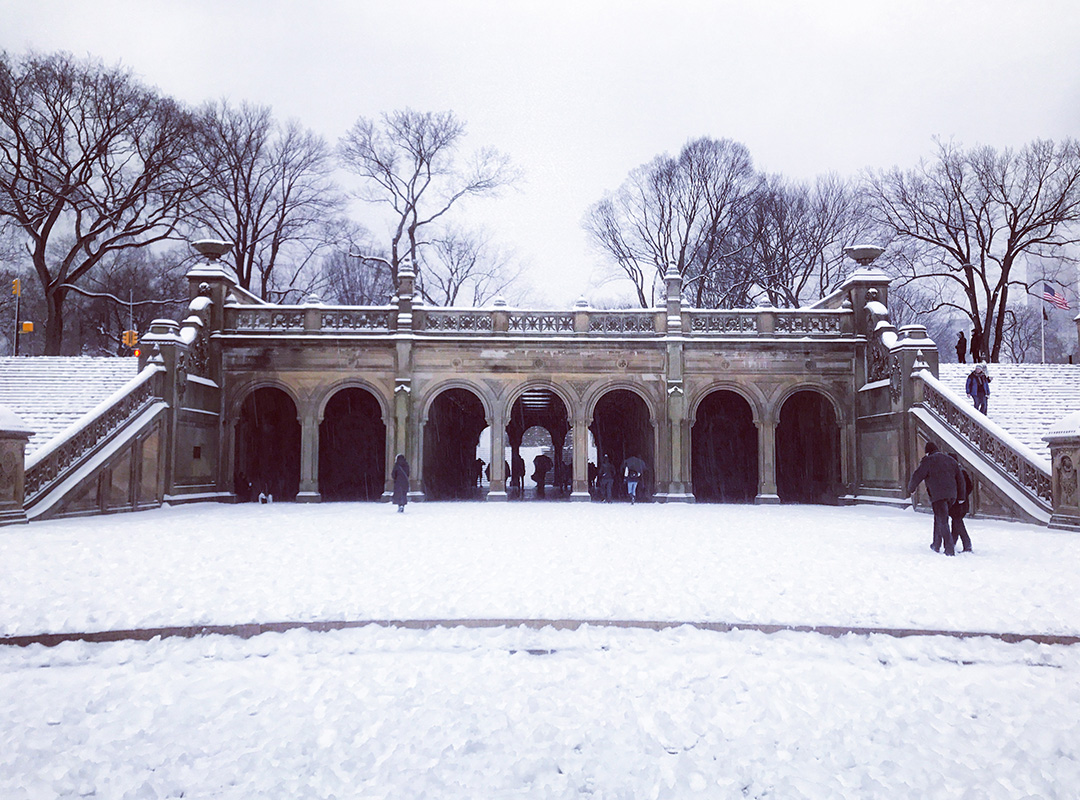 Central Park neige New York Noël