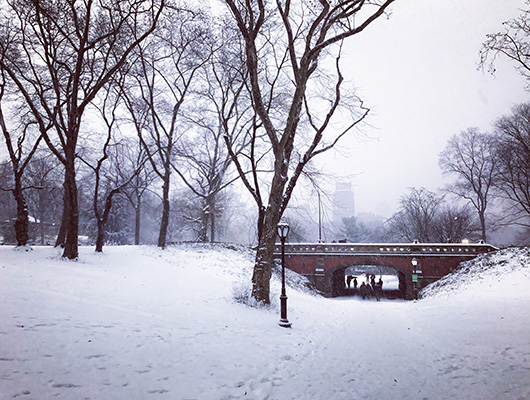 Central Park neige New York Noël