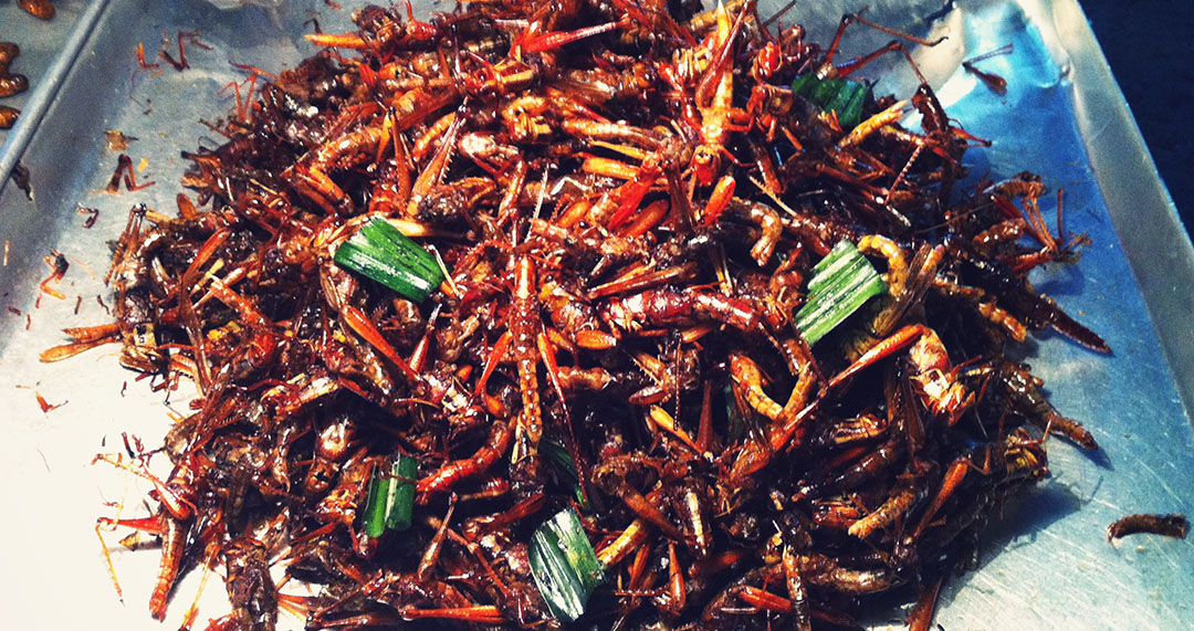 Manger des insectes à bangkok thailande