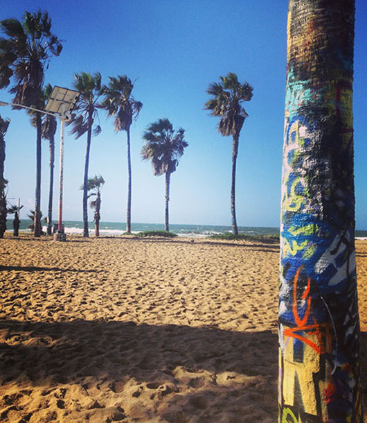 Venice beach graffiti