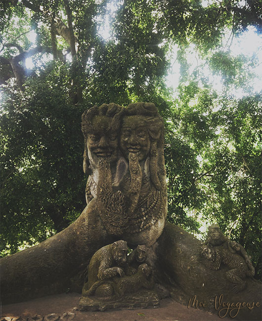 Monkey Forest ubud bali indonésie
